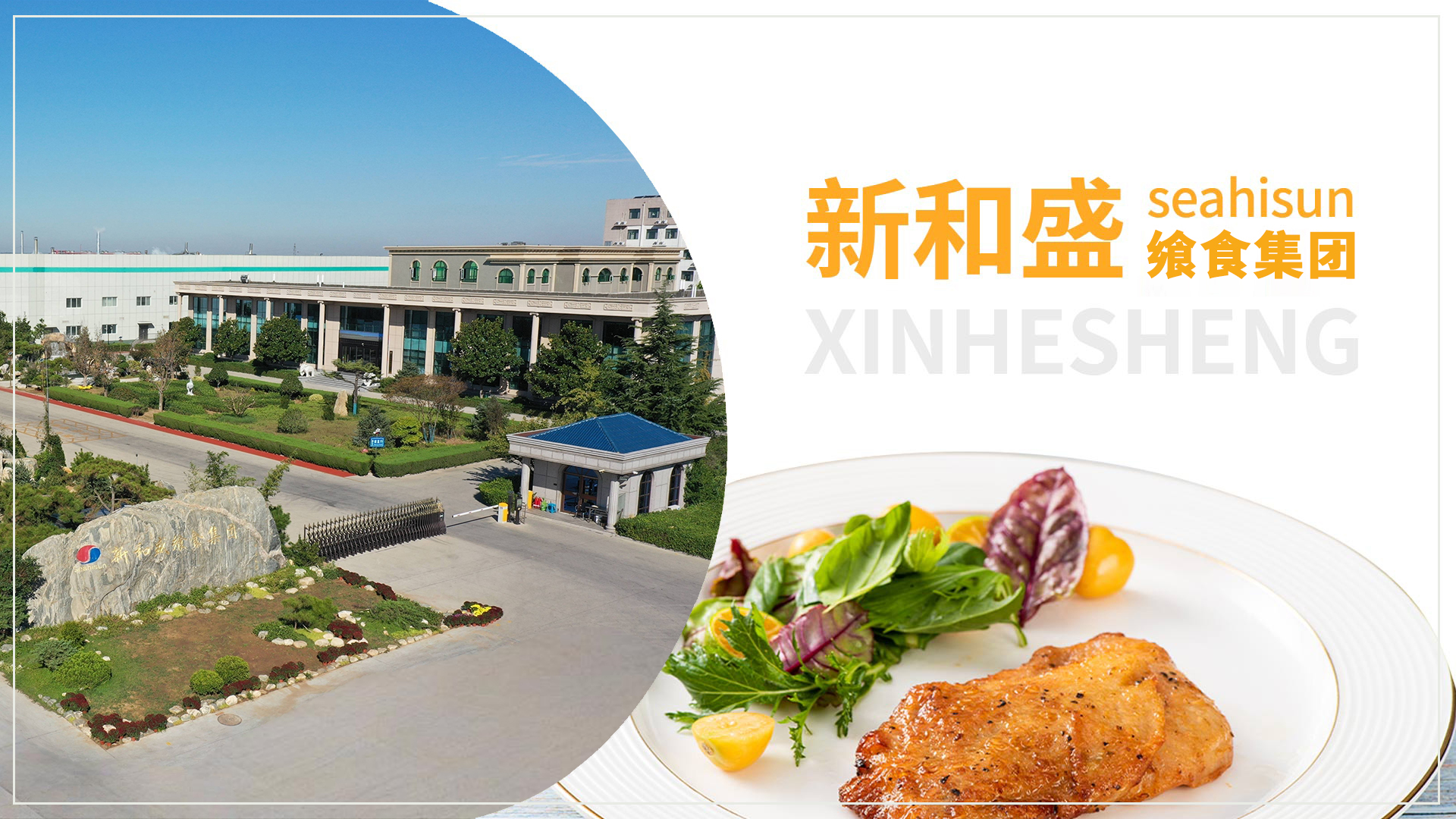 單柱換網(wǎng)器